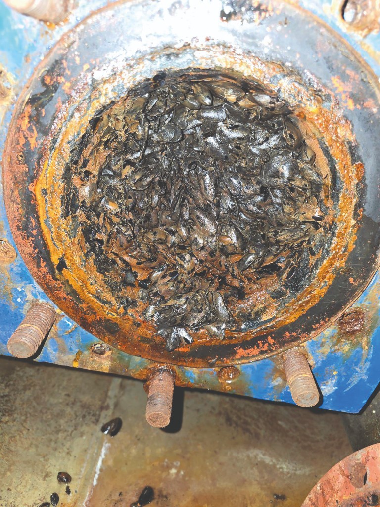 Plate cooler before cleaning — fouled and reduced efficiency